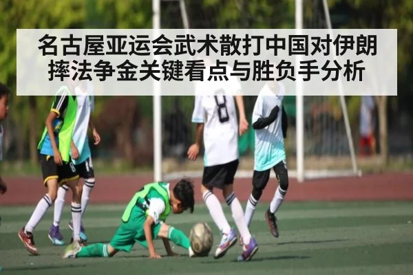 名古屋亚运会武术散打中国对伊朗摔法争金关键看点与胜负手分析 | pg