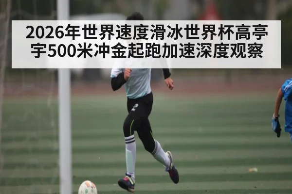 2026年世界速度滑冰世界杯高亭宇500米冲金起跑加速深度观察 | pg